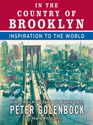 cover image of In the Country of Brooklyn